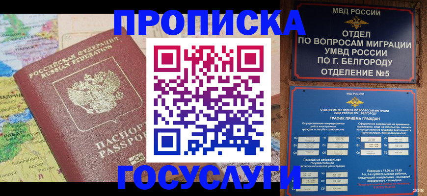 прописка регистрация в Кувшиново
